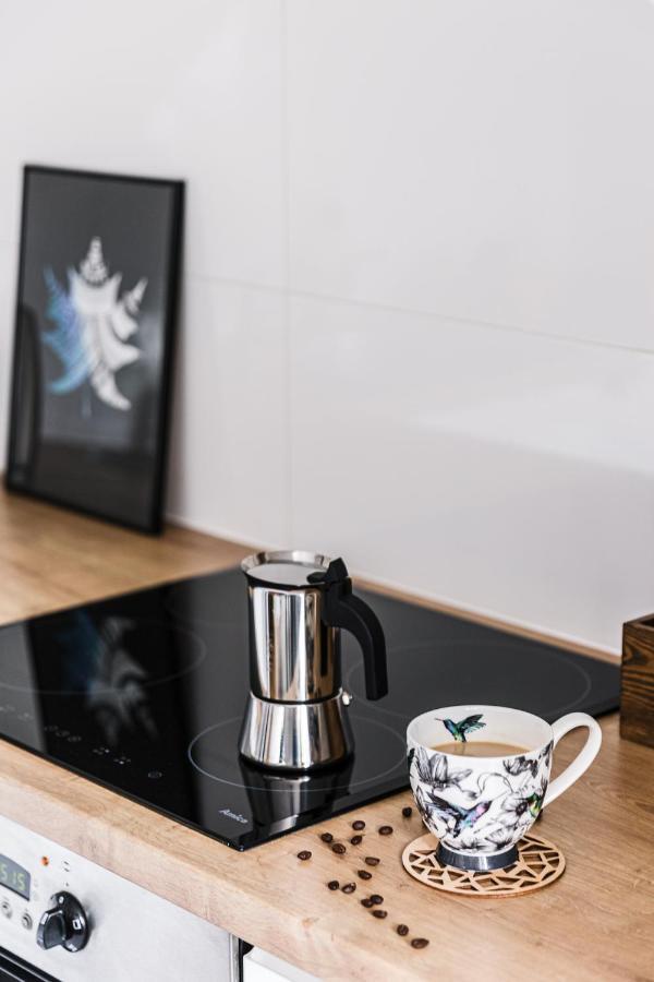 אוסטריצקי דולנה Apartament Dobre Miejsce מראה חיצוני תמונה